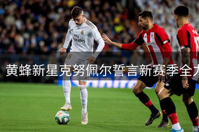 黄蜂新星克努佩尔誓言新赛季全力冲击季后赛席位